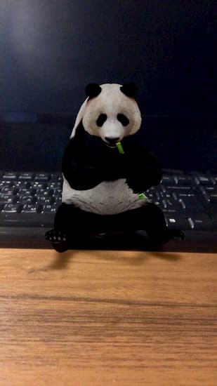 Как смотреть в 3D-формате модель панды в реальности