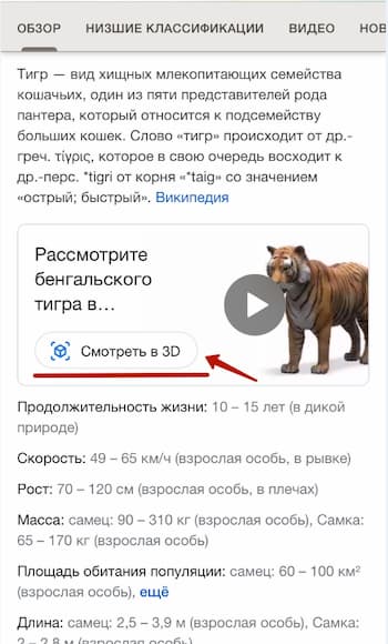 Как смотреть в 3D-формате животного