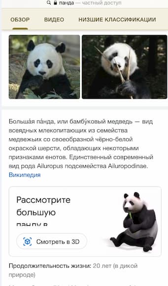 Как посмотреть 3D-модель панды