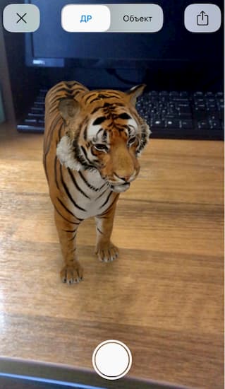 Как записать видео 3D-модели тигра