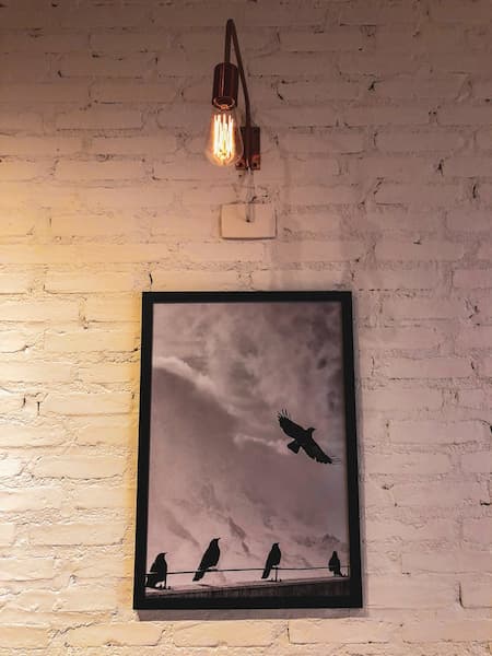 Фотография птиц на стене