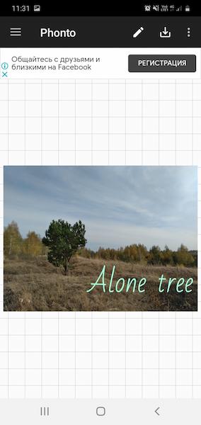 alone tree4