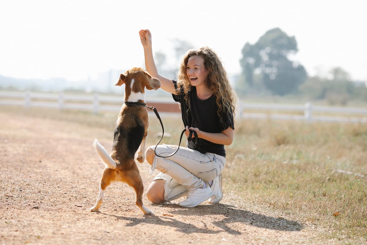 Девушка с собакой в поле